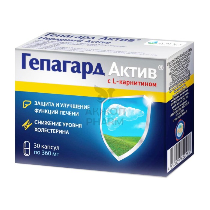 ГЕПАГАРД АКТИВ КАПС №30 - купить в интернет-аптеке Ақ Жол Pharm