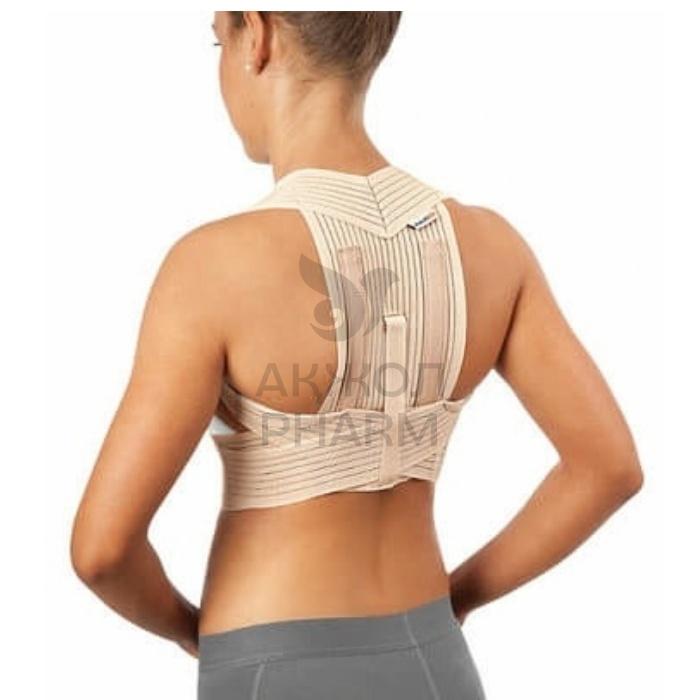 КОРСЕТ Д/ГРУДНОГО ОТДЕЛА ПОЗВОНОЧНИКА ORLIMAN ПОЛУЖЕСТКИЙ ET-220 №3 - купить в интернет-аптеке Ақ Жол Pharm