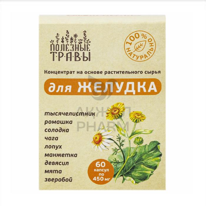 ФИТОКОМПЛЕКС Д/ЖЕЛУДКА КАПС 450МГ №60/ПЧЕЛА И ЧЕЛОВЕК - купить в интернет-аптеке Ақ Жол Pharm