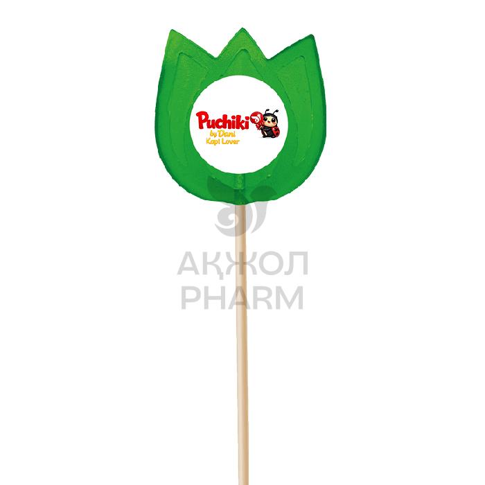 ЛЕДЕНЕЦ PUCHIKI BY DANI ФИГУРНЫЙ ТЮЛЬПАН 25ГР - купить в интернет-аптеке Ақ Жол Pharm
