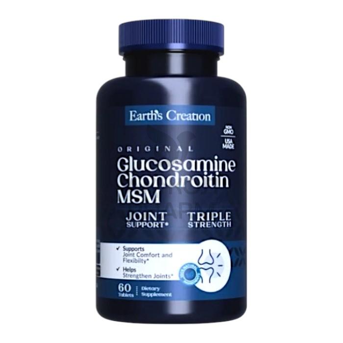 ГЛЮКОЗАМИН ХОНДРОИТИН+МСМ №60/EARTHS CREATION - фото 1