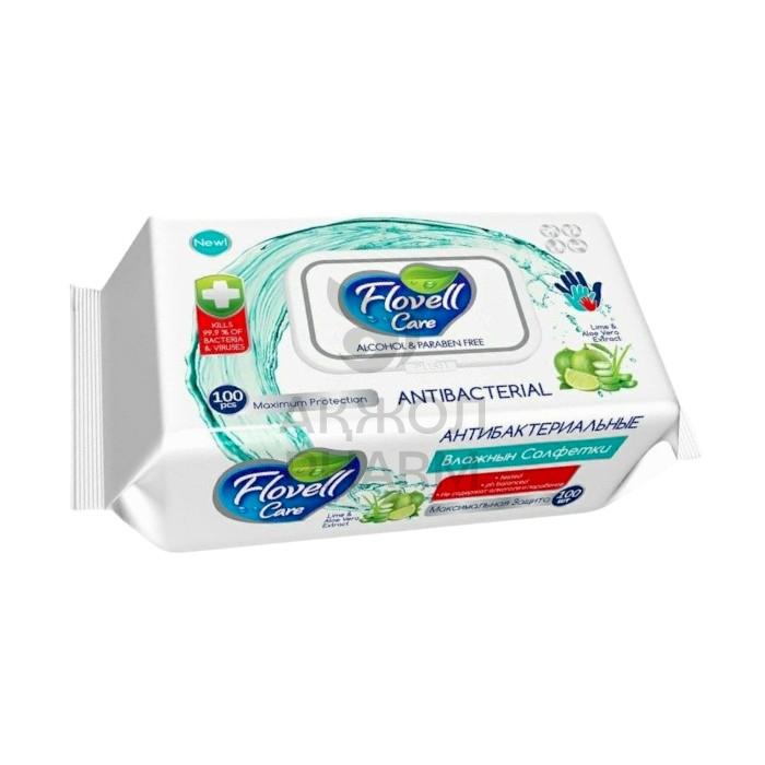 САЛФЕТКИ ВЛАЖНЫЕ FLOVELL CARЕ АНИБАКТ.100 ШТ - купить в интернет-аптеке Ақ Жол Pharm