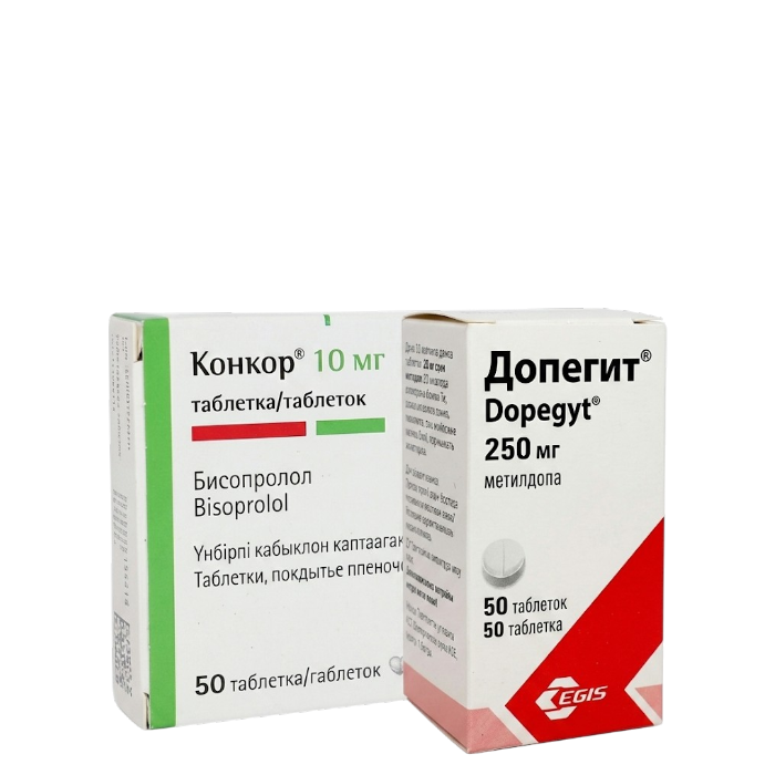 Сердечно-сосудистая система