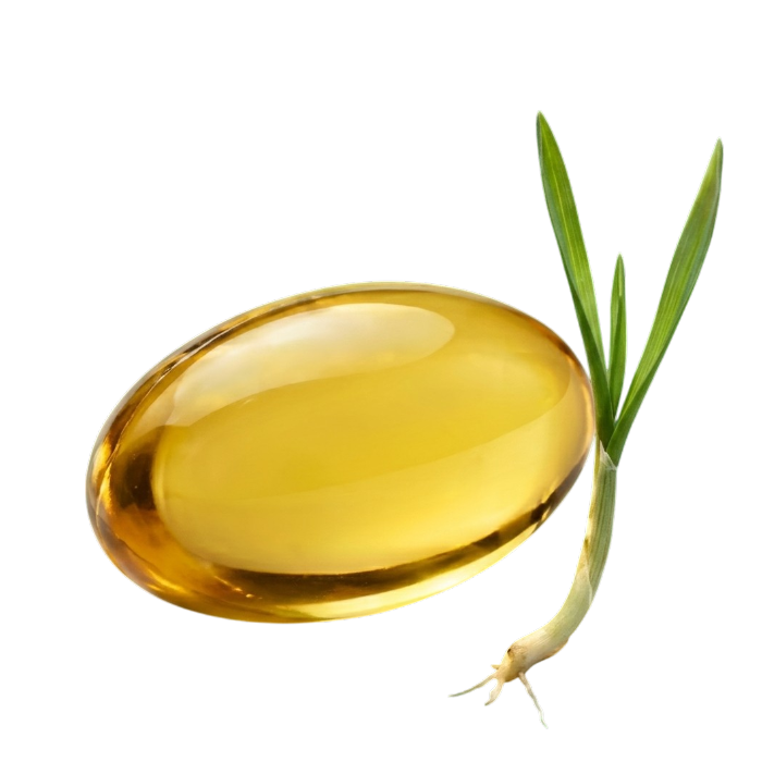 Жүкті әйелдерге арналған