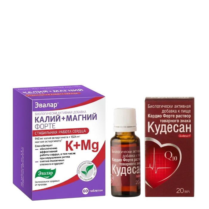 Сердечно-сосудистая система