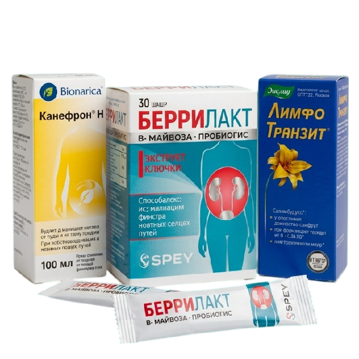 Зәр шығару-жыныс жүйесі