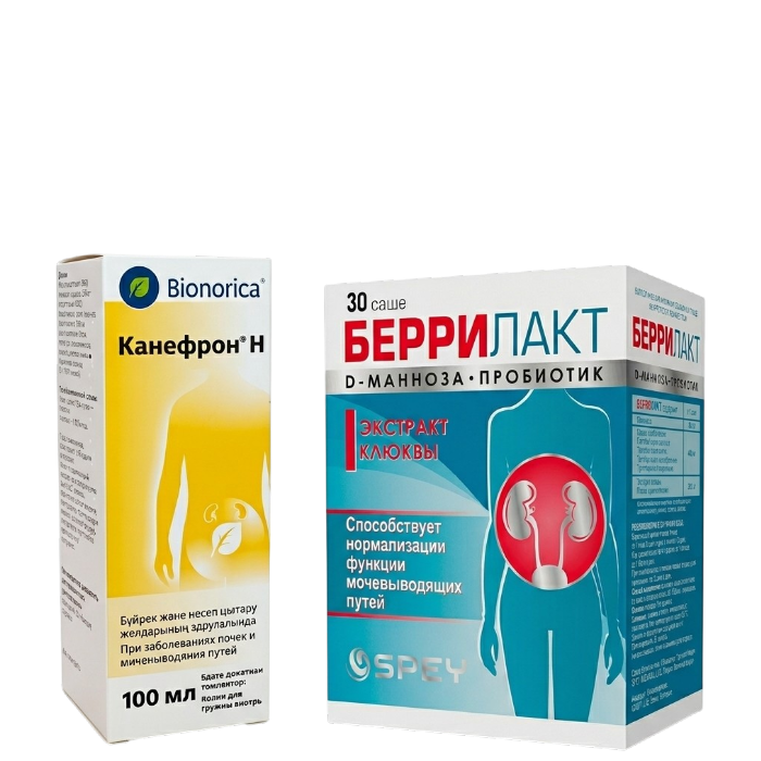 Мочеполовая система